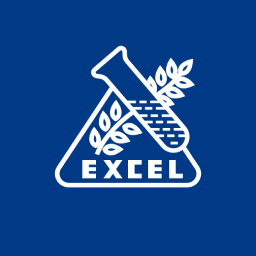 Excel Industries Share Price